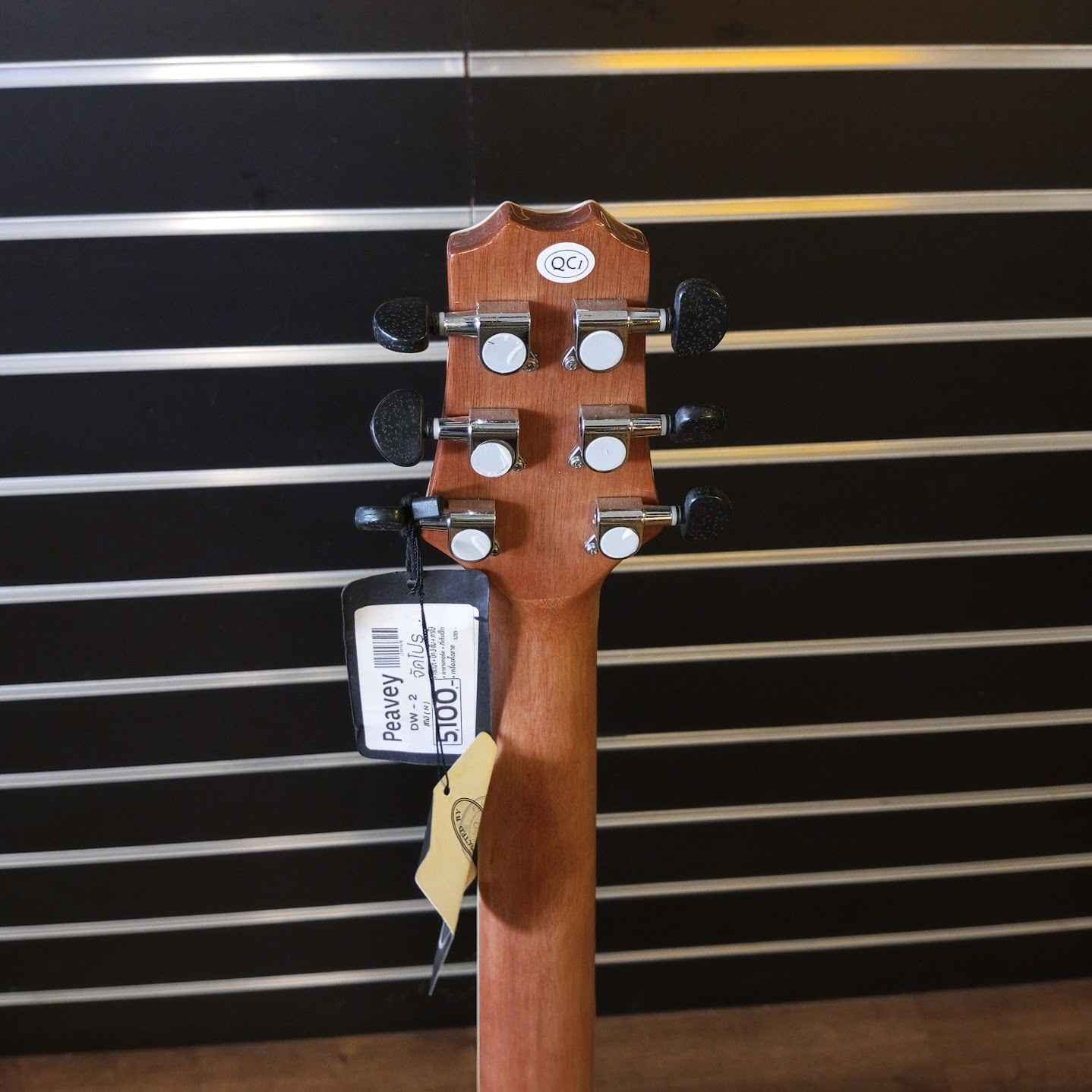 โปร่งไฟฟ้า peavey dw 2