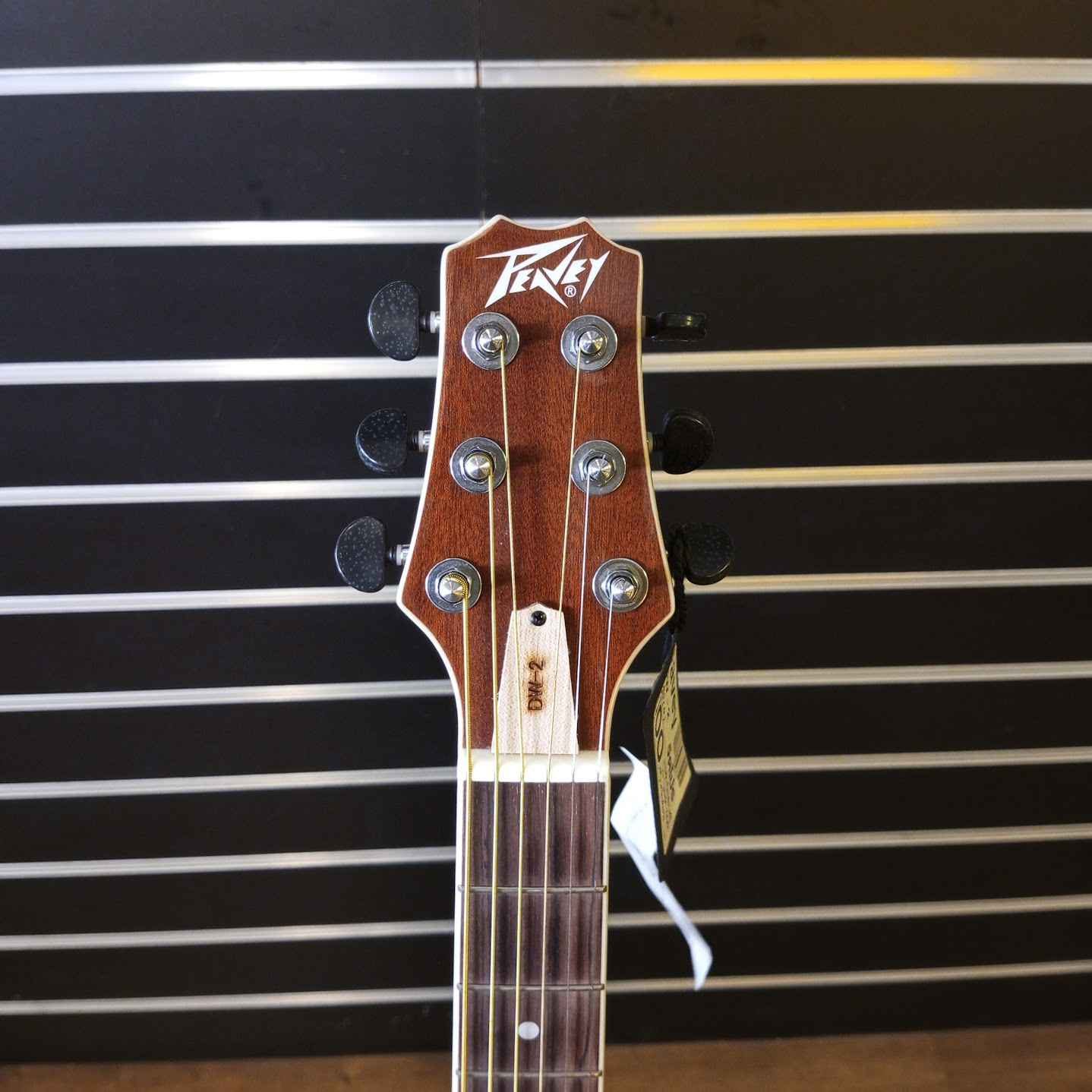 โปร่งไฟฟ้า peavey dw 2