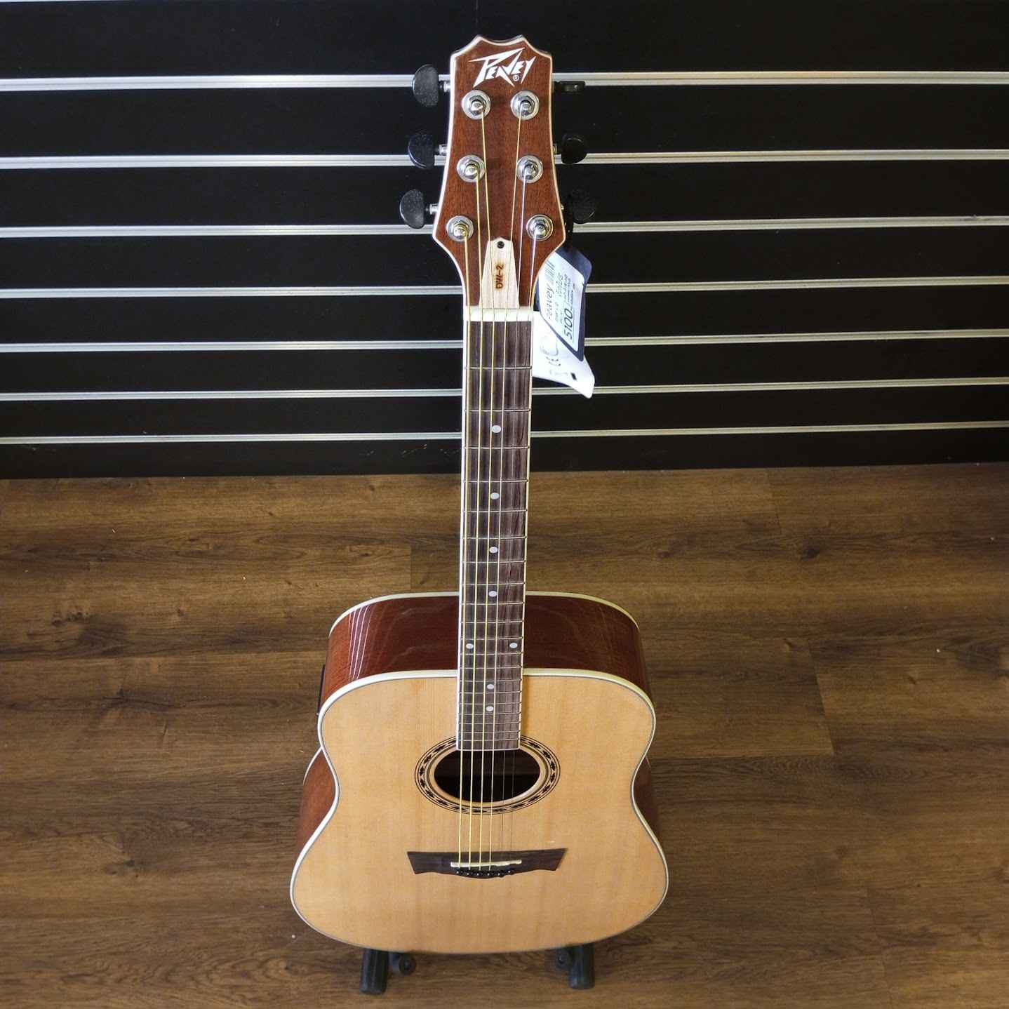 โปร่งไฟฟ้า peavey dw 2